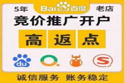 竞价广告的创意与执行：某快消品的营销突破